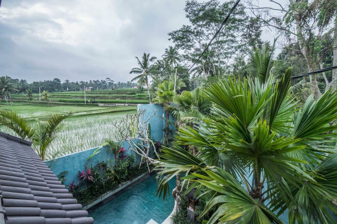 Tanah Carik By Mahaputra *
